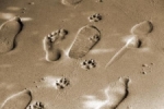 Footprint.jpg